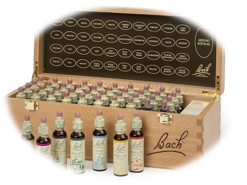 Coffret de Fleurs de Bach- Conseillère- Haute-Savoie